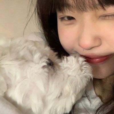 战盟手机版下载